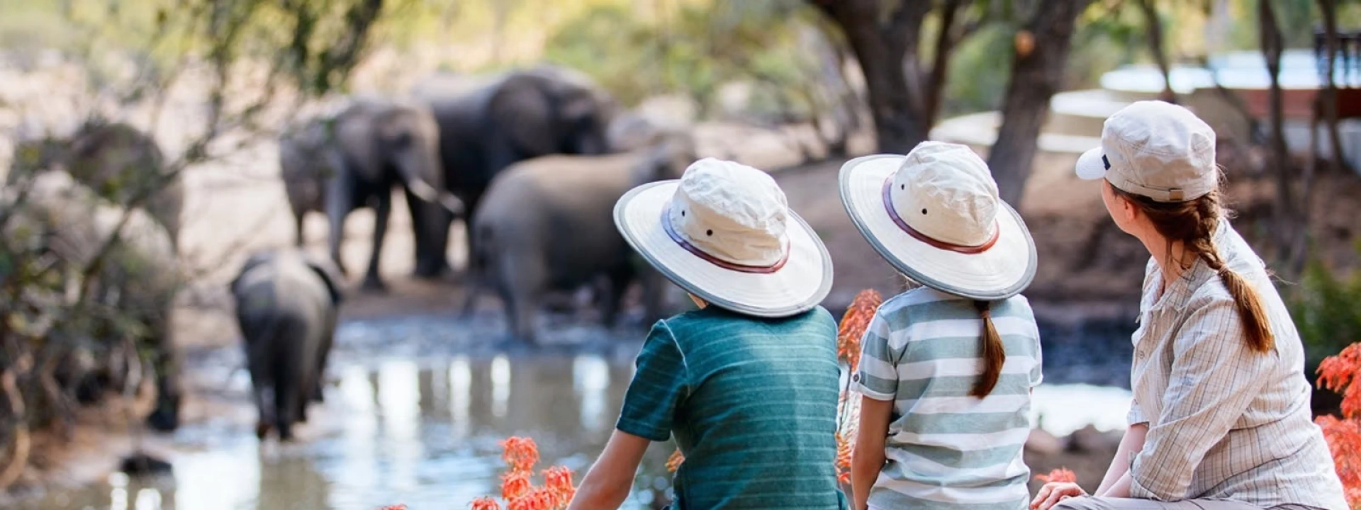 Safari Afrique en famille