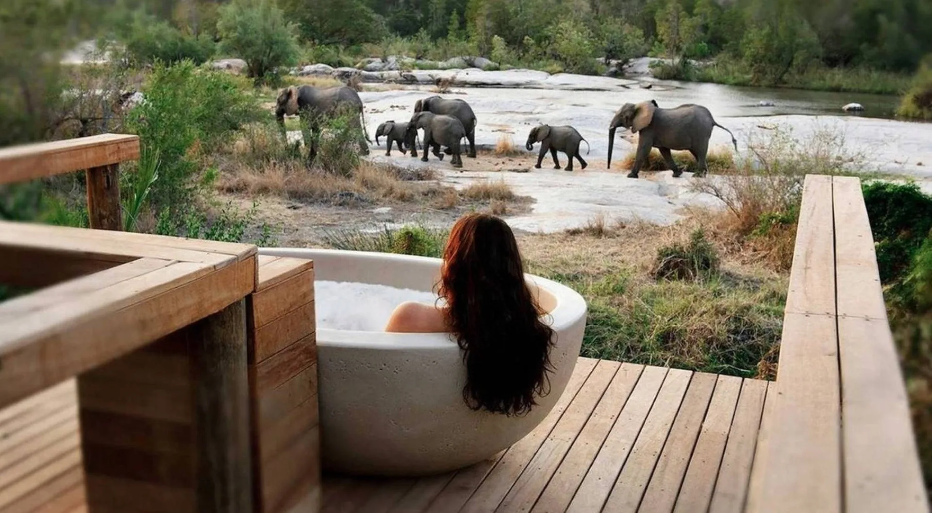 Safari Afrique luxe : conseils et organisation