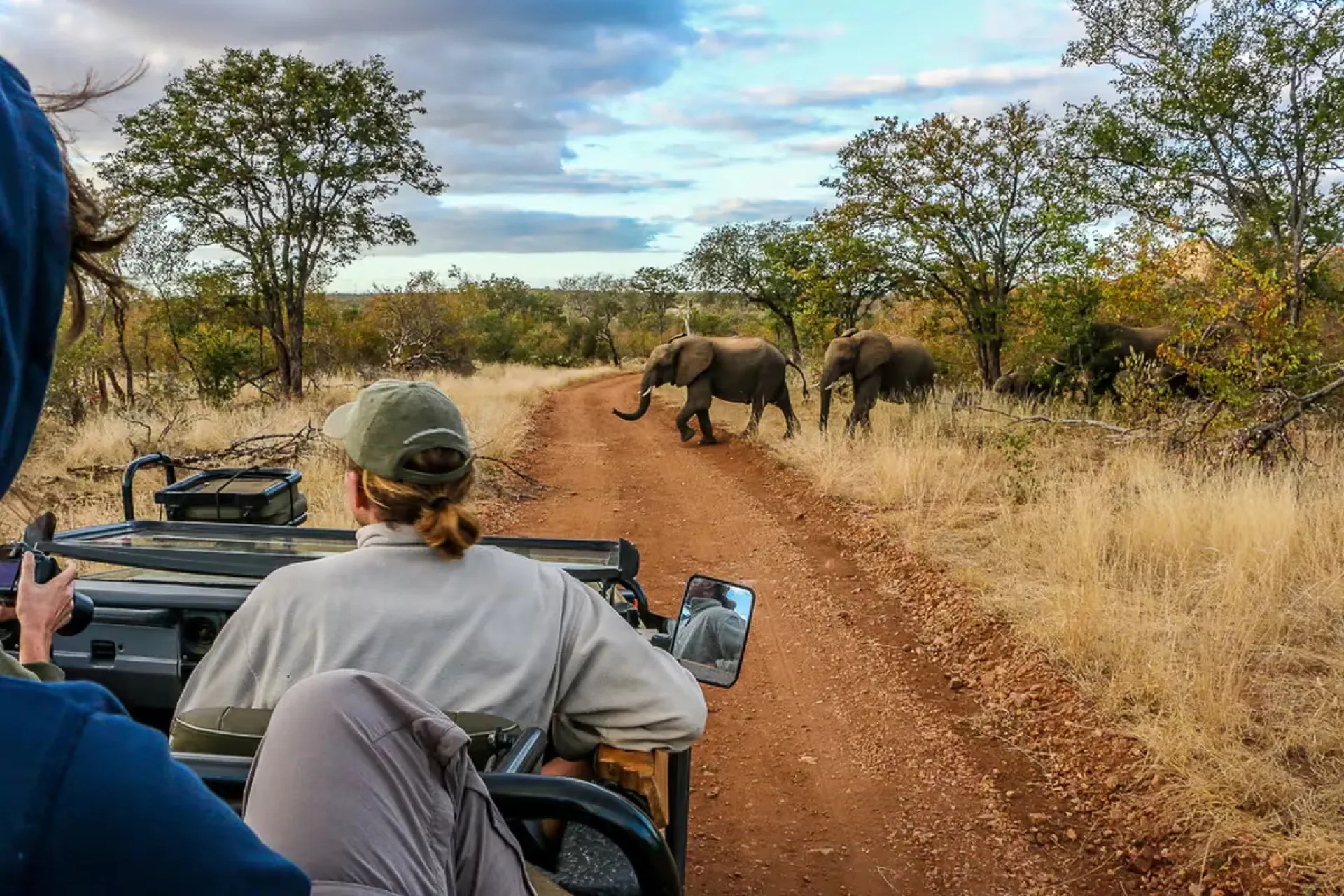 Safari Afrique meilleur itinéraire : conseils et organisation