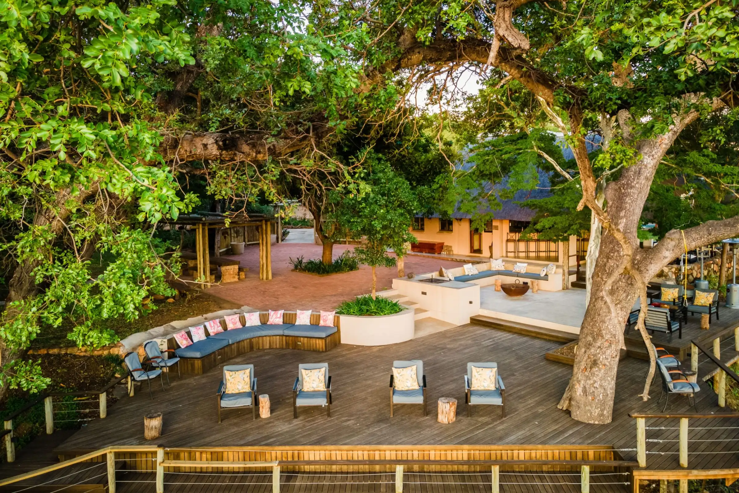 Safari Afrique meilleurs lodges : conseils et organisation