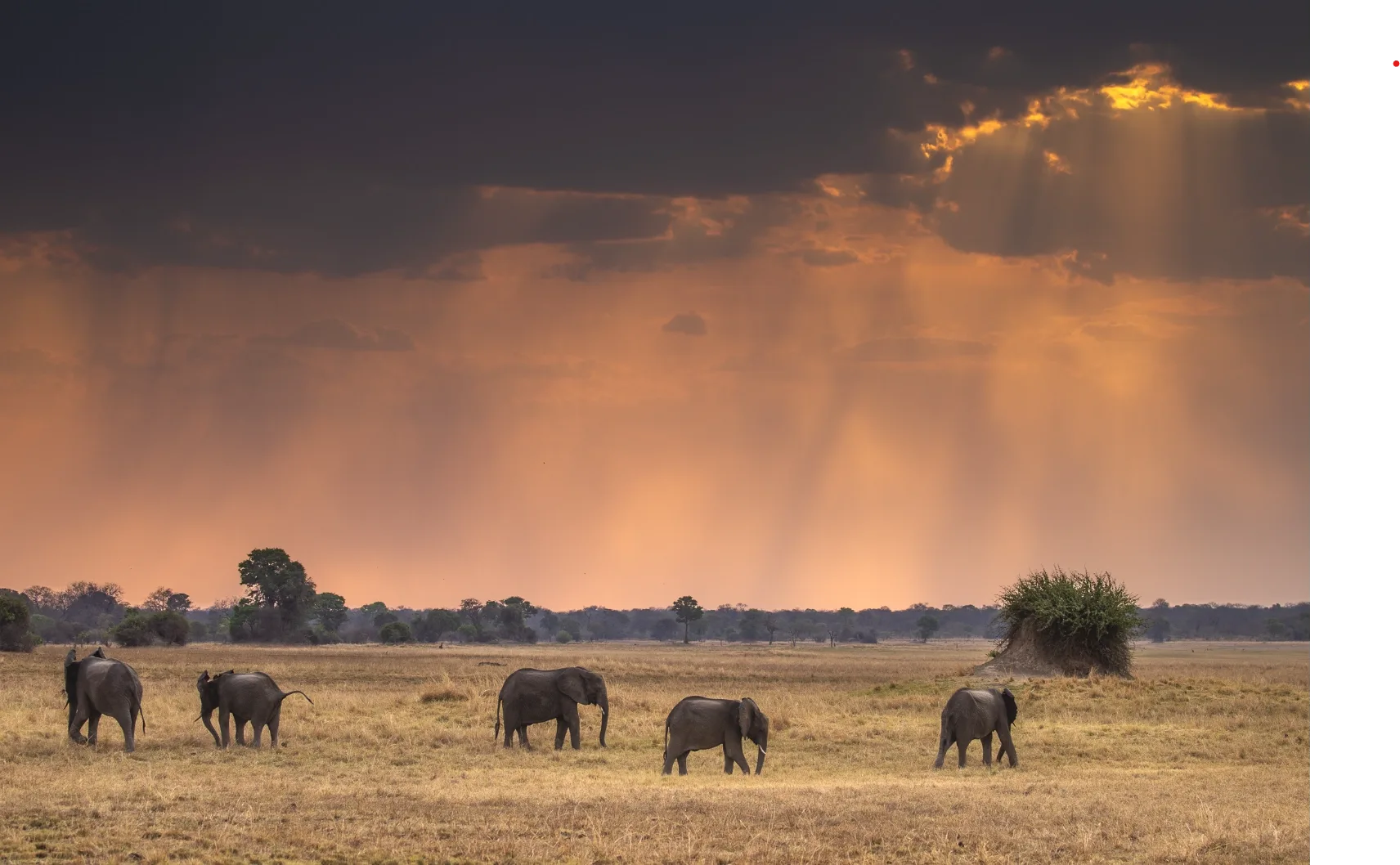 Safari after rain in Africa
