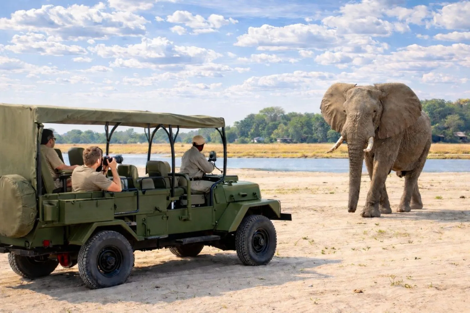 Safari et école : une expérience éducative