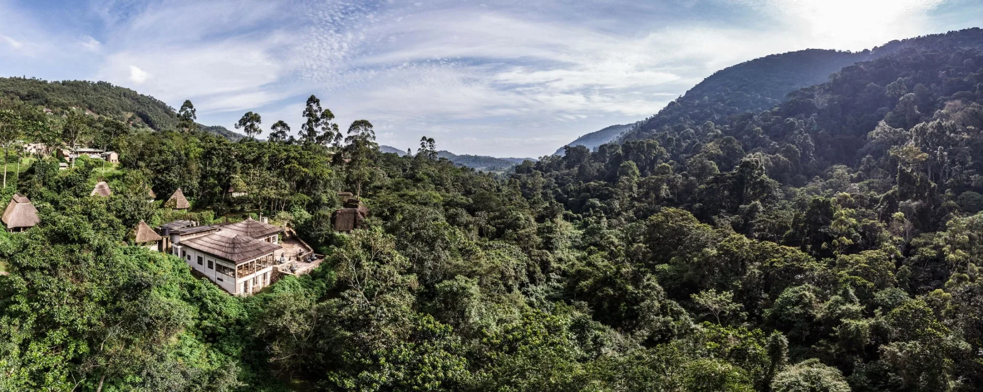 Safari in Bwindi Impenetrable National Park
