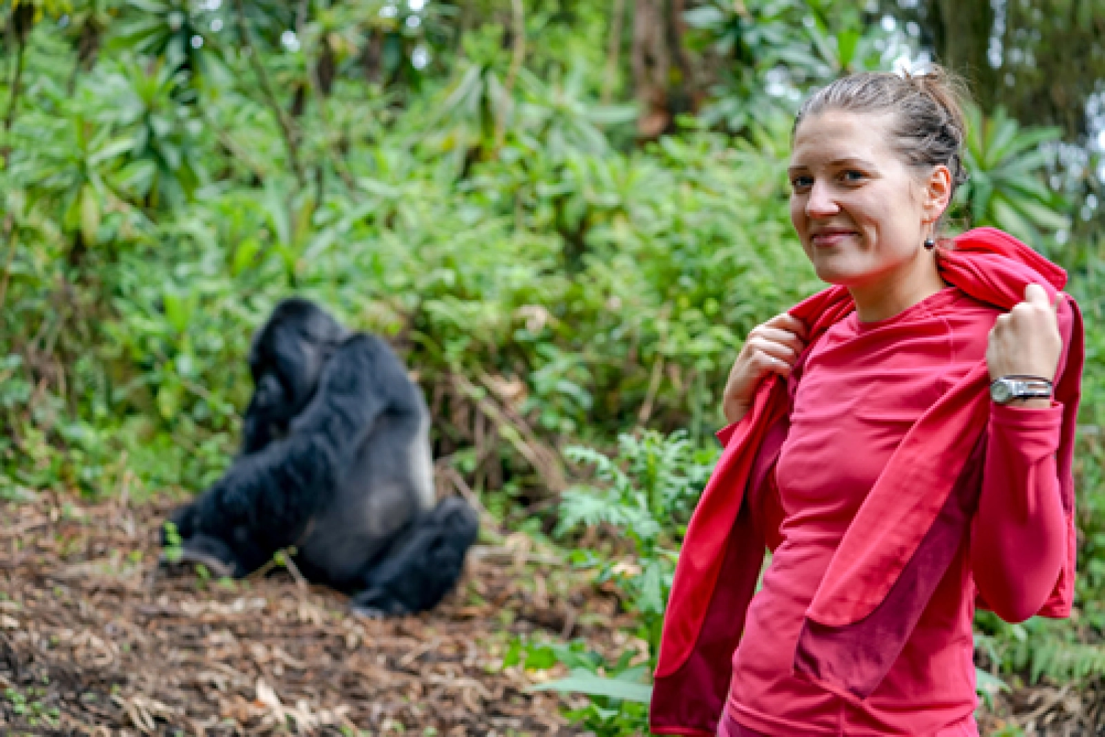 Safari in Bwindi Impenetrable National Park