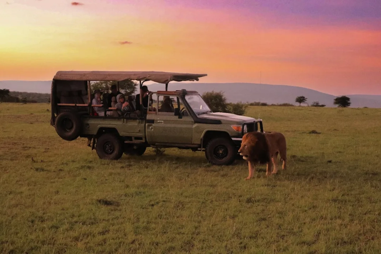 Safari in Kenya
