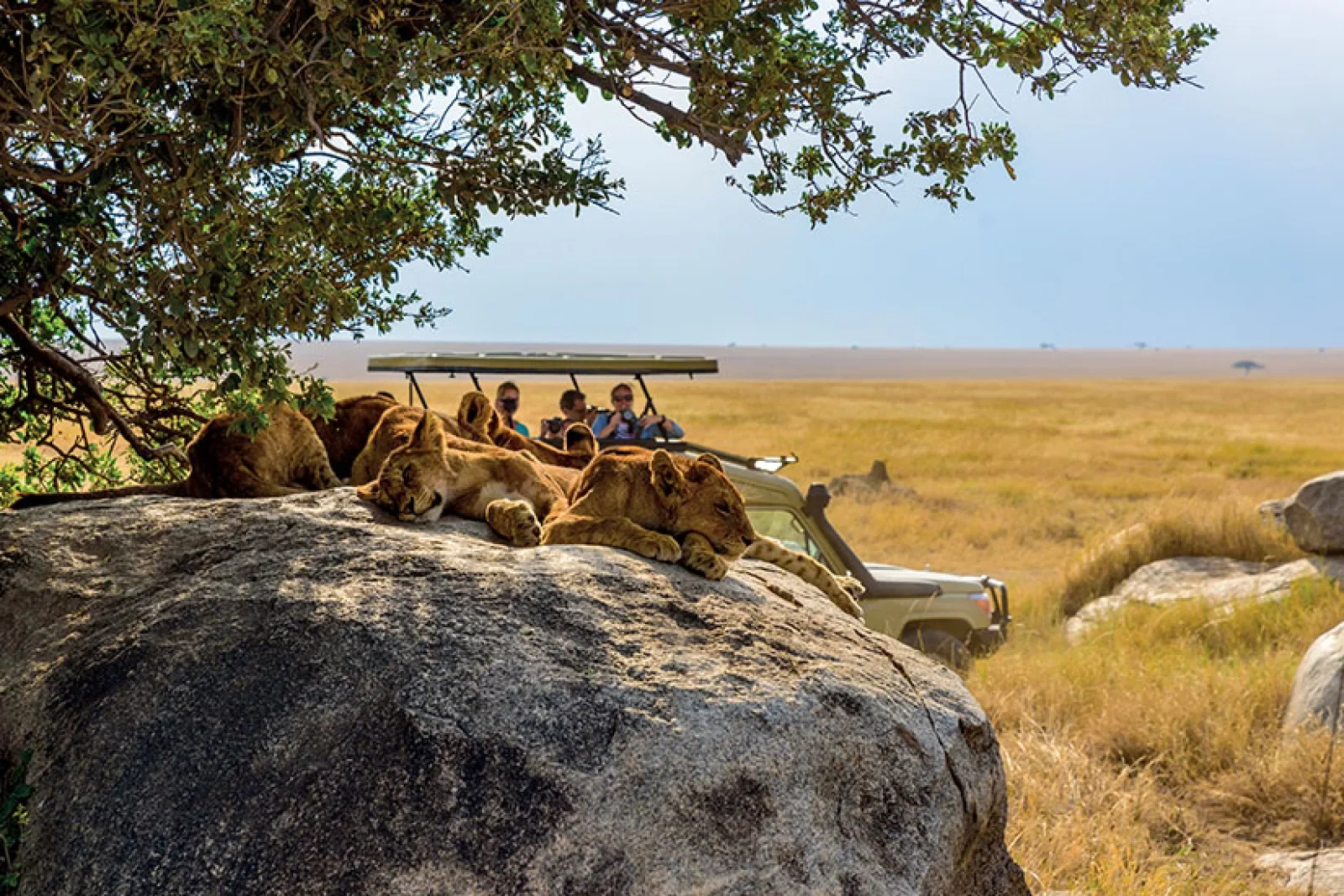 Safari in Kenya
