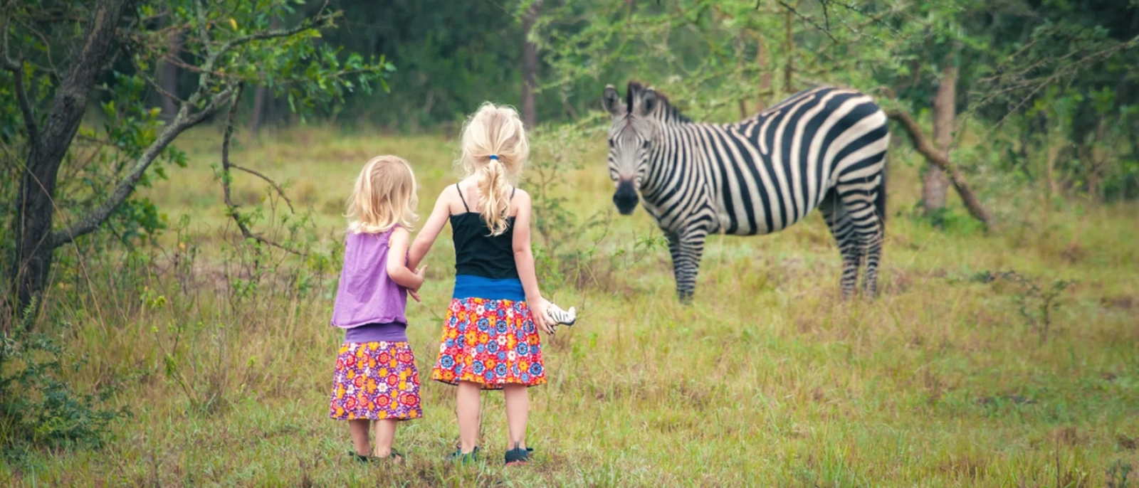 Safari in Kenya