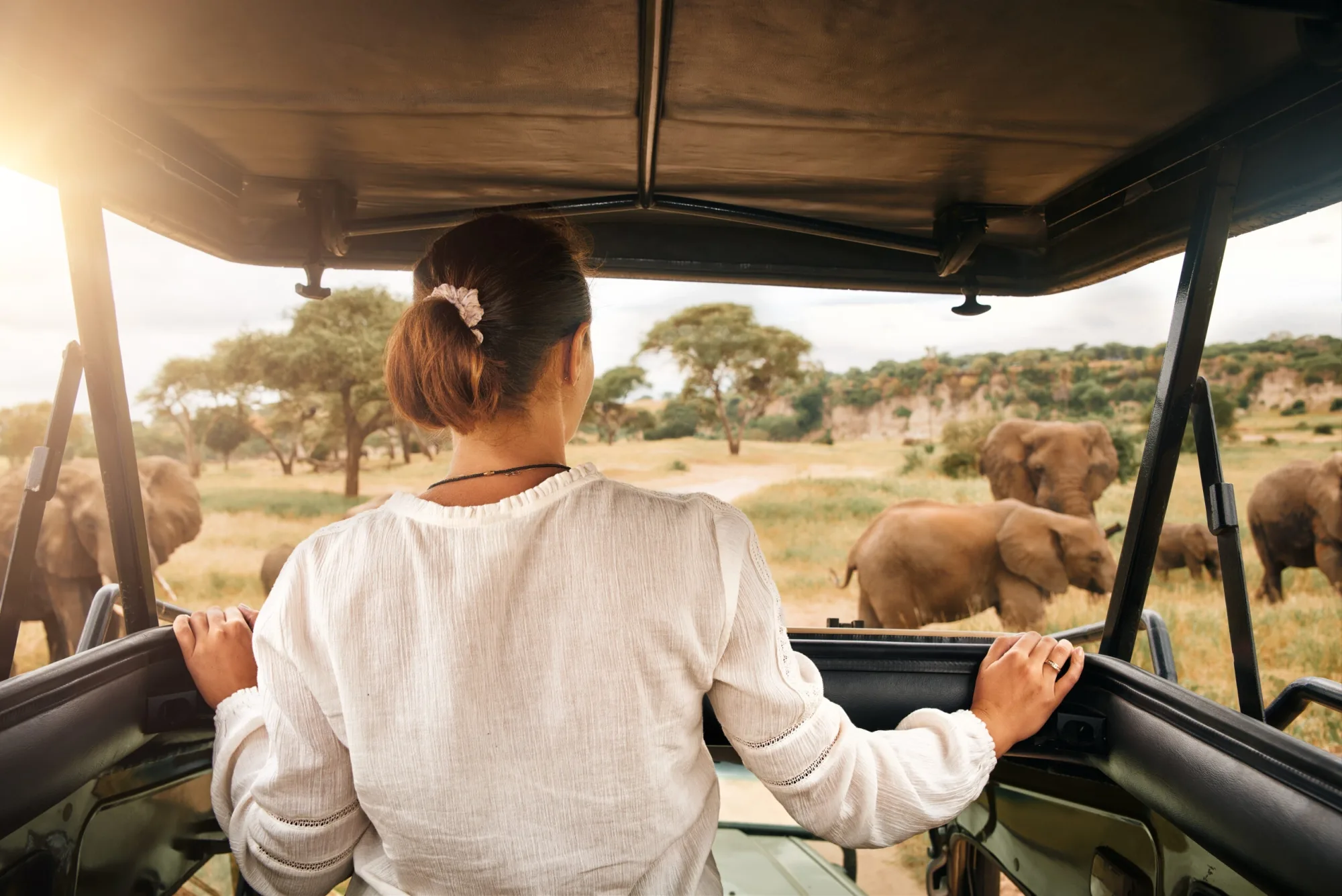 Safari in Kenya
