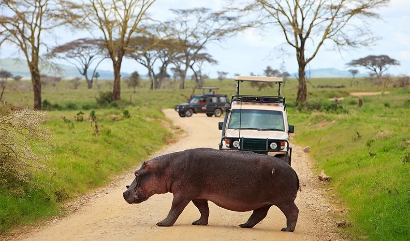 Safari in Kenya