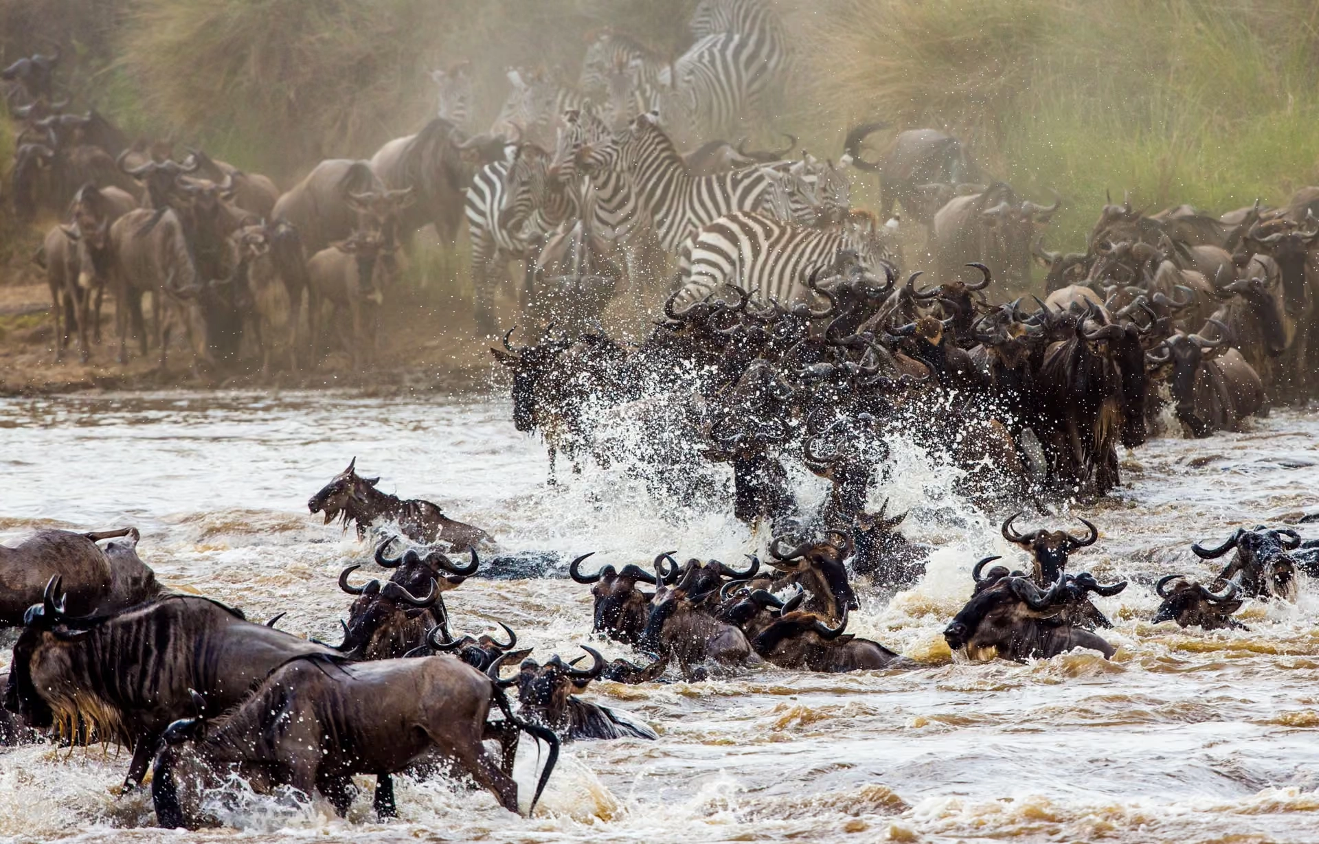 Safari in Kenya