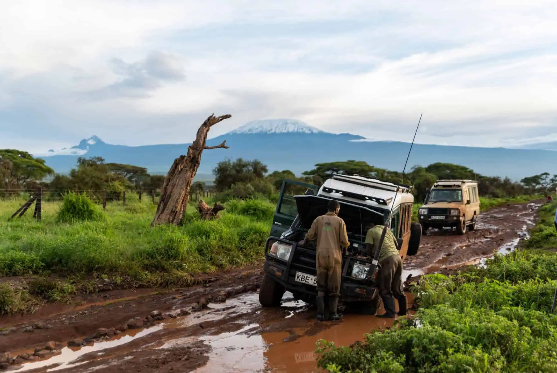 Safari in Kenya