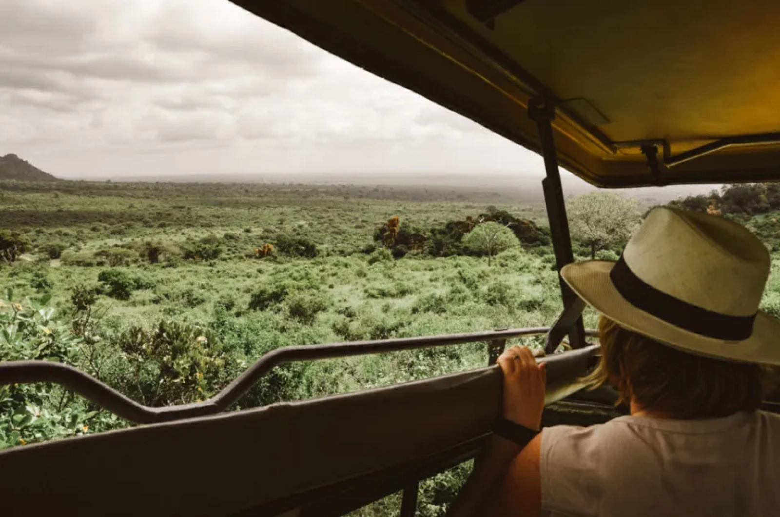 Safari in Kenya