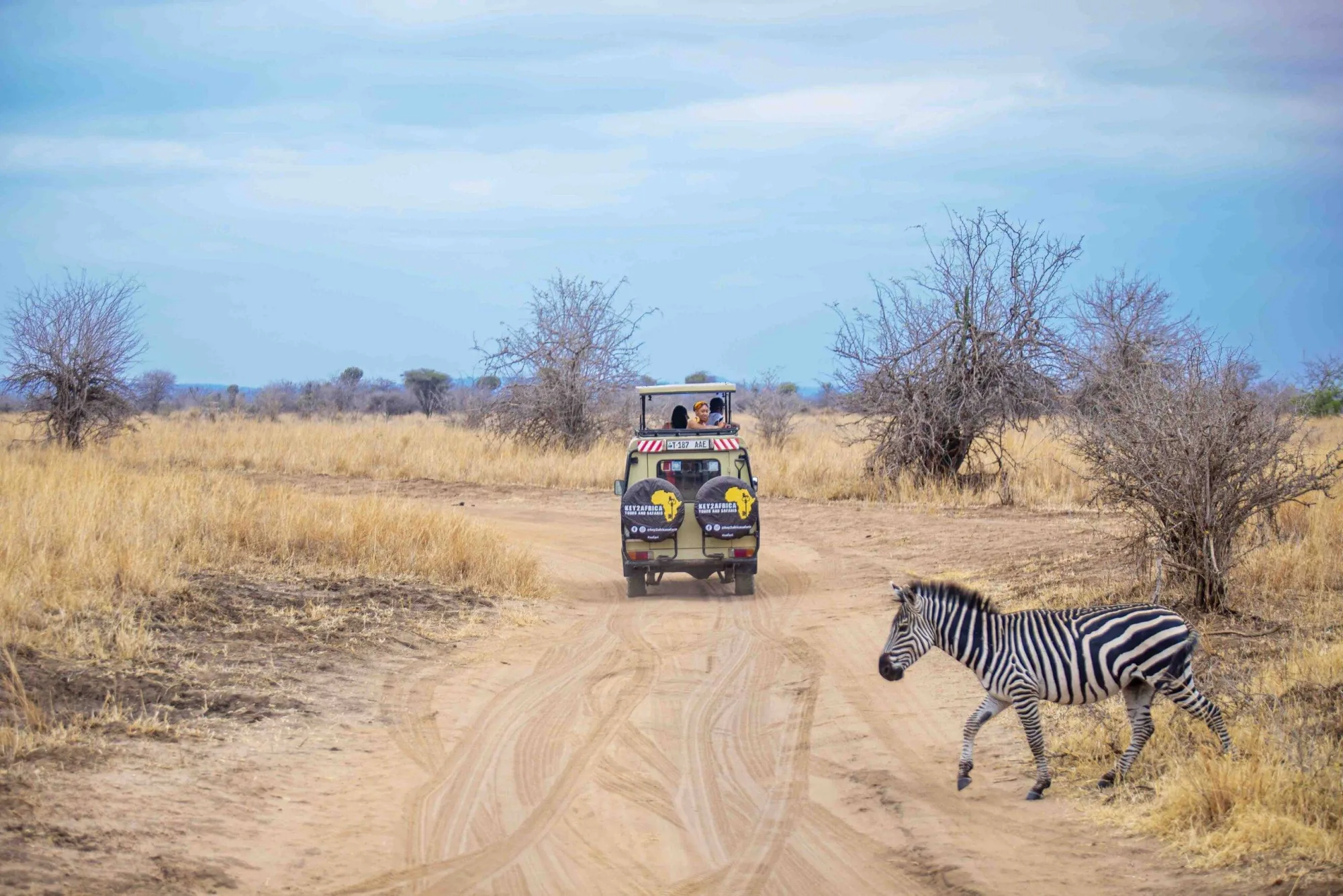 Safari in Kenya