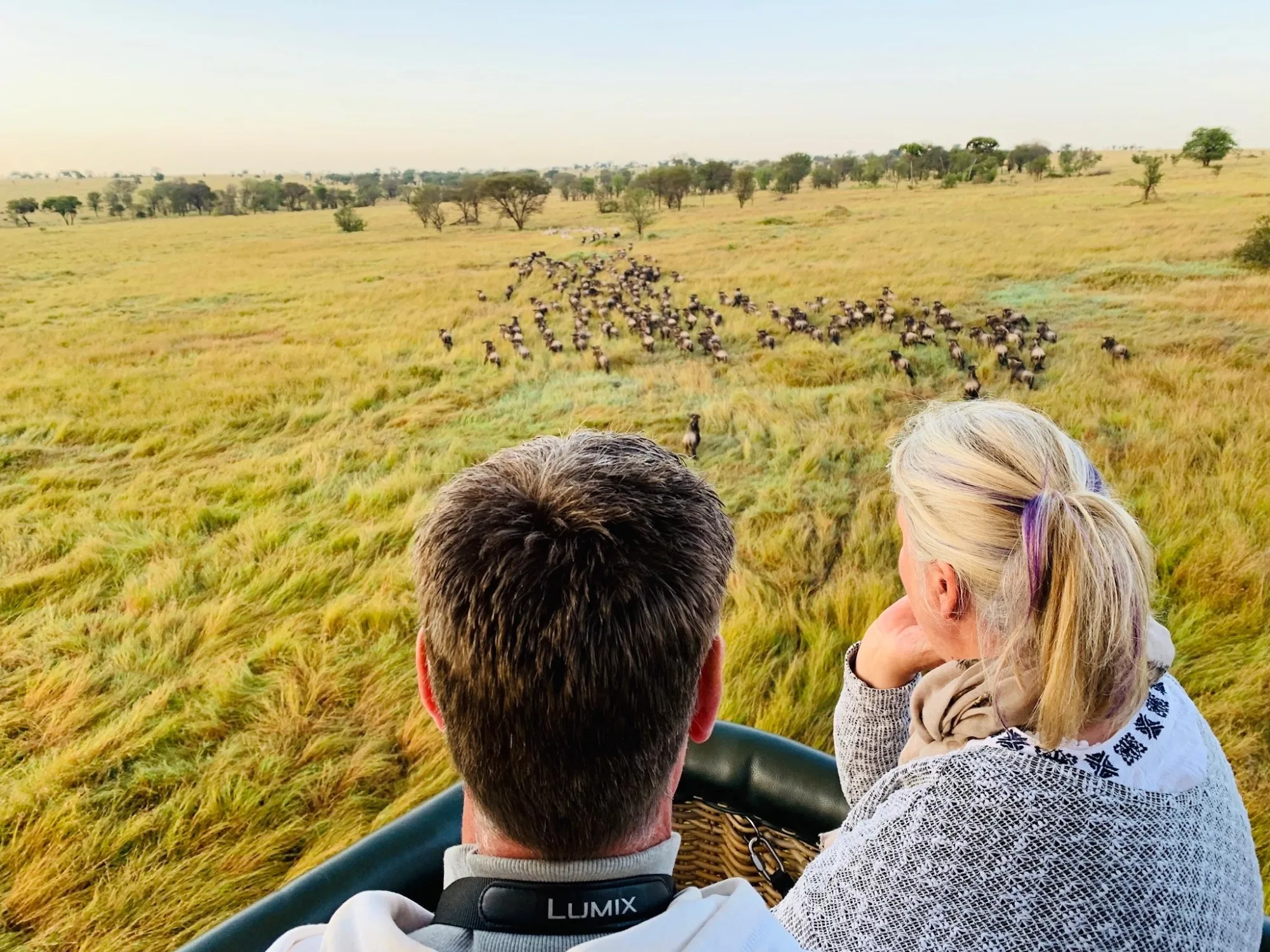 Safari in Kenya