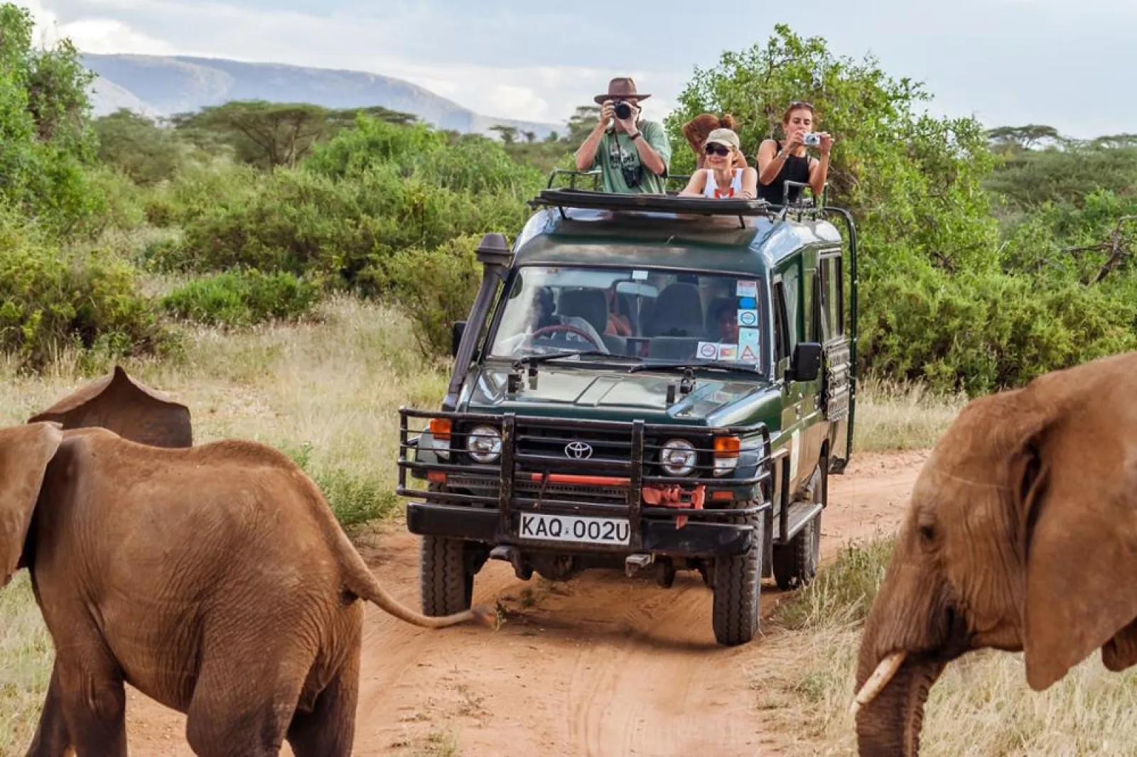 Safari in Kenya