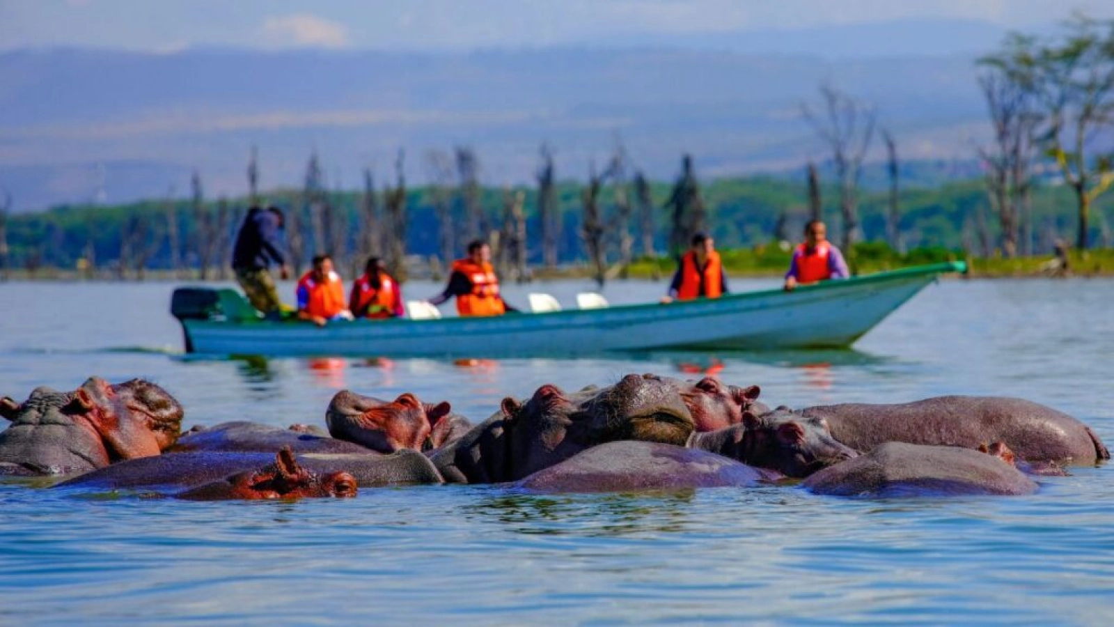 Safari in Kenya