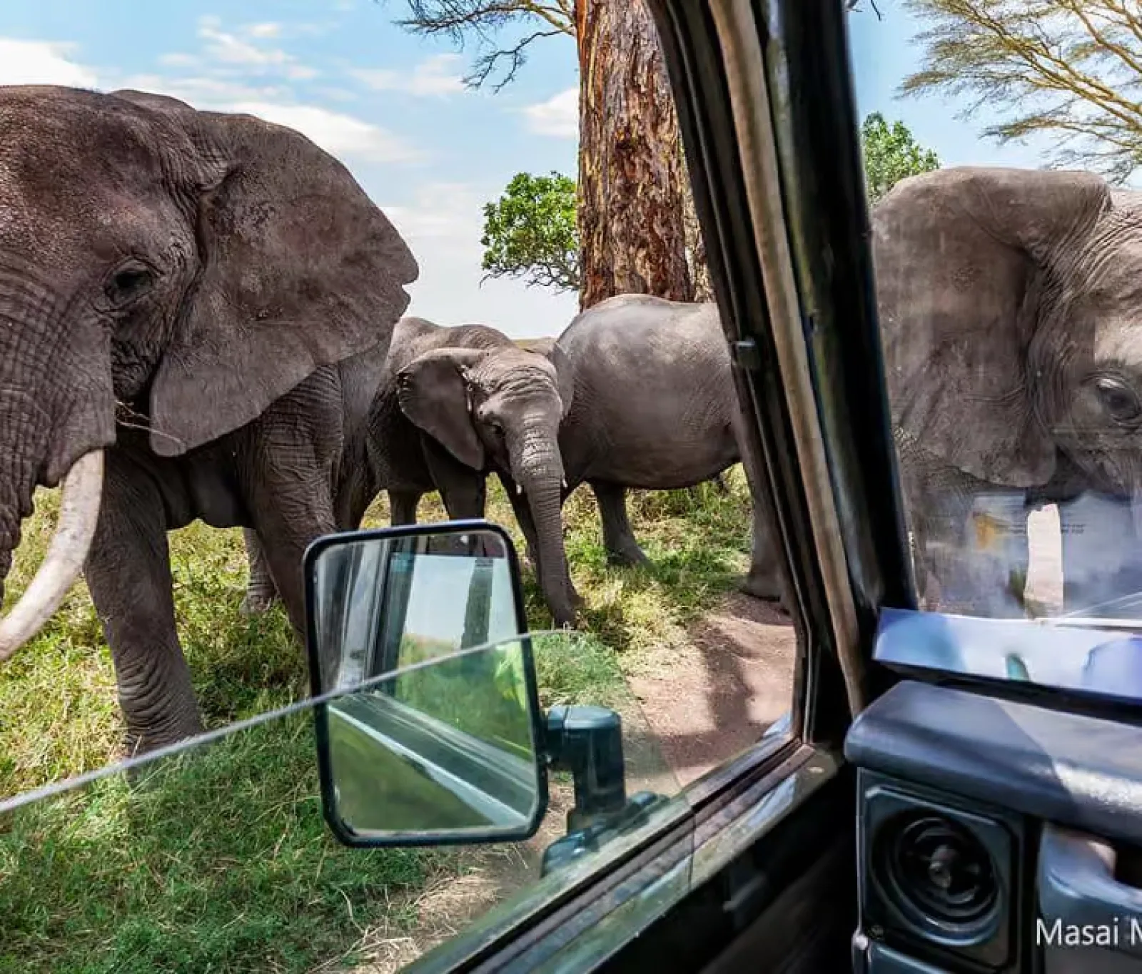 Safari in Kenya
