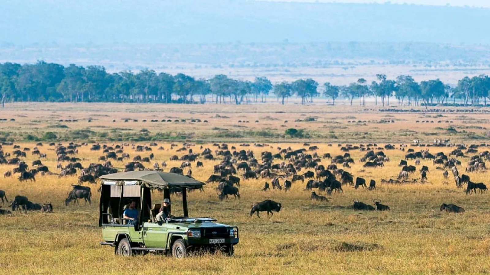 Safari in Kenya