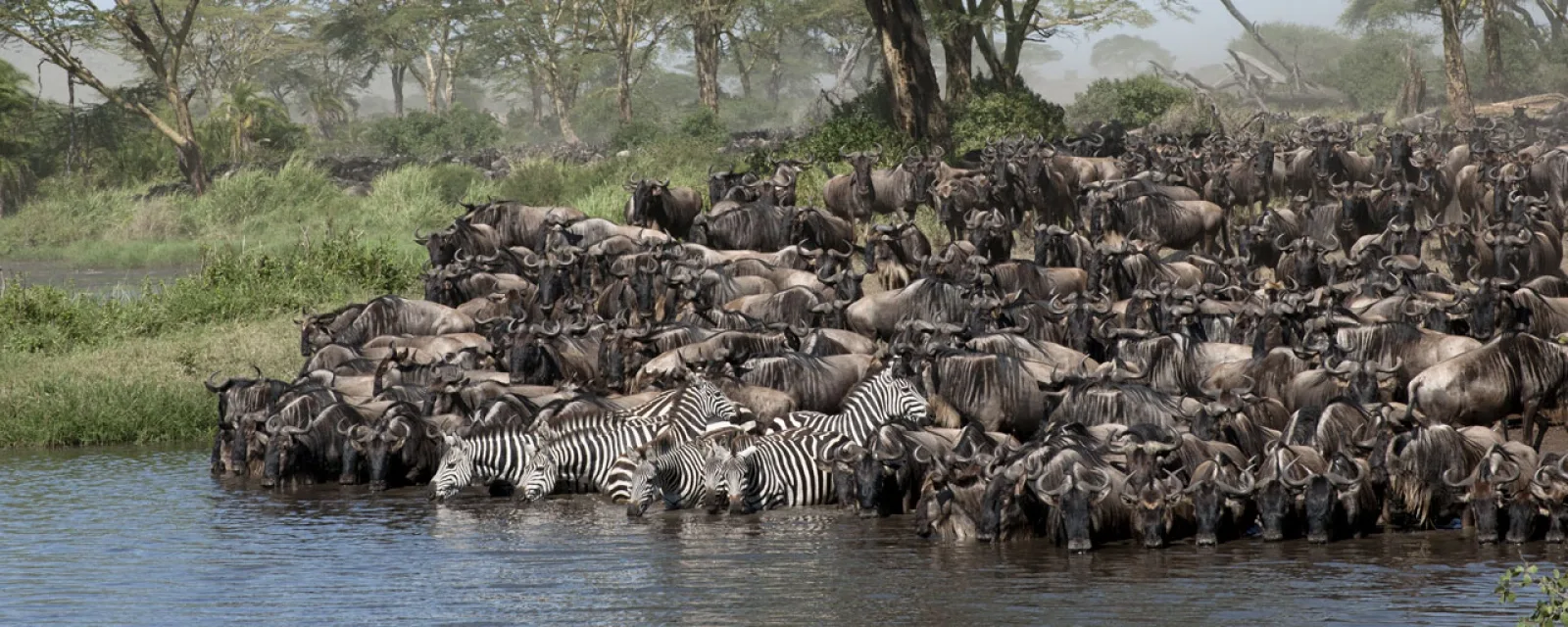 Safari in Kenya