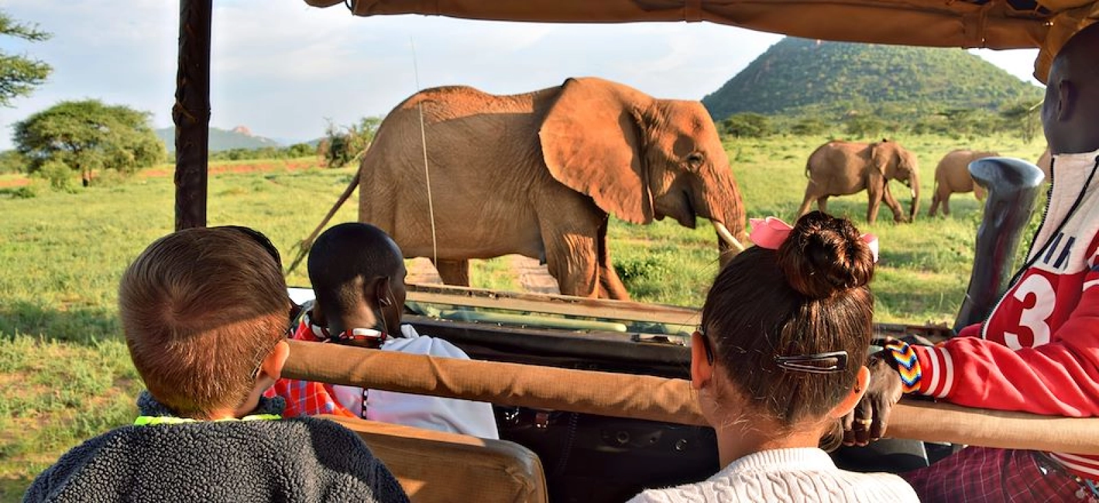 Safari in Kenya