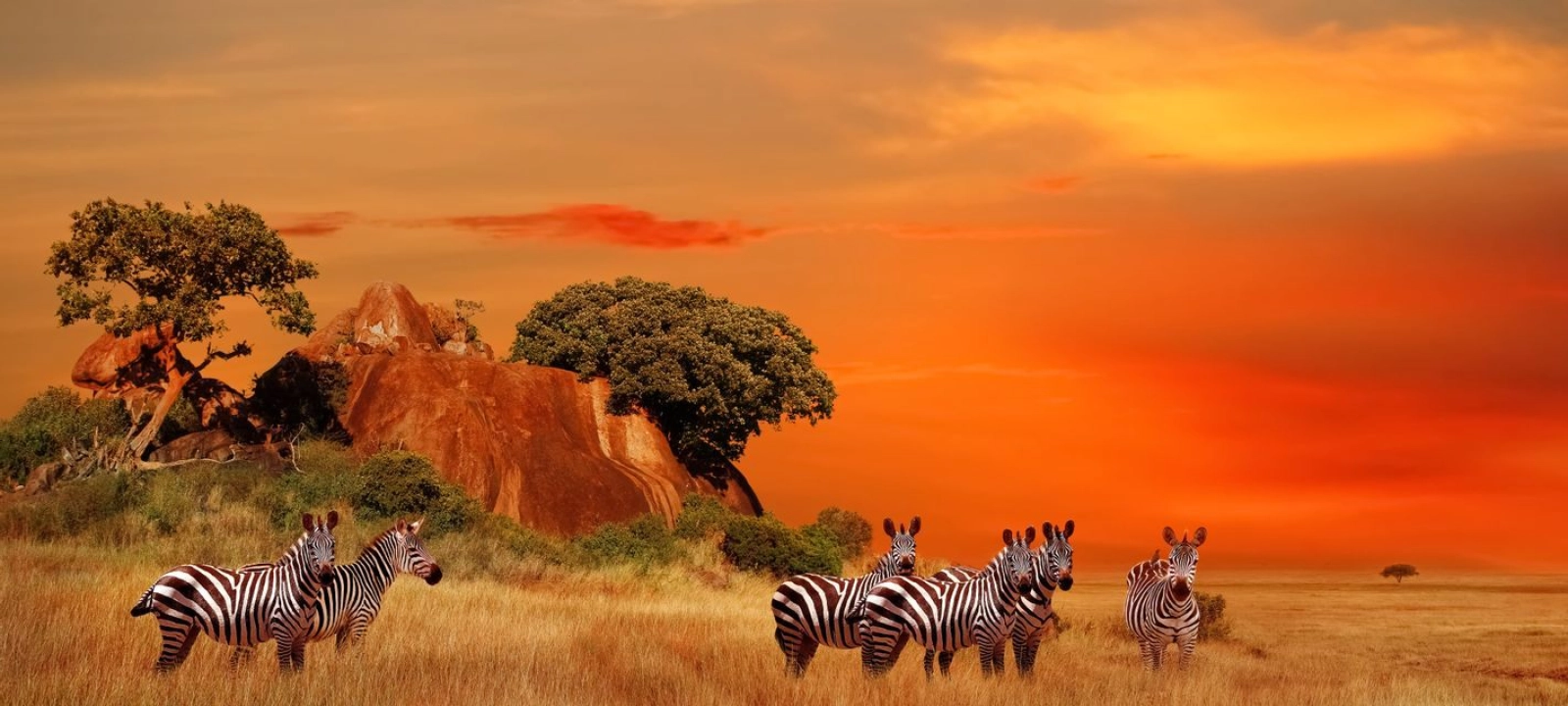 Safari in Kenya