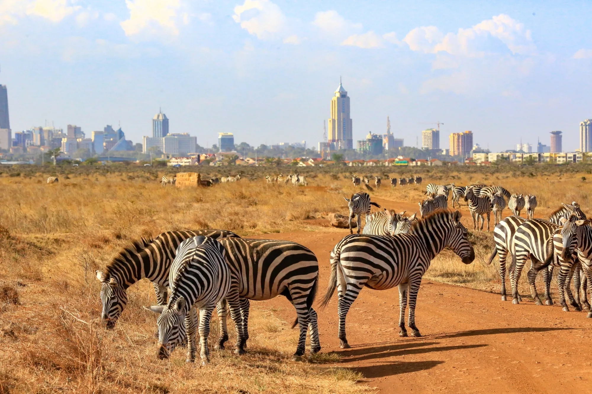 Safari in Kenya