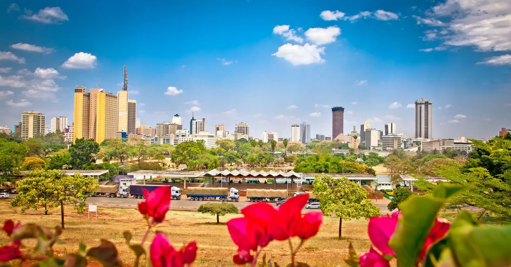 Safari in Kenya