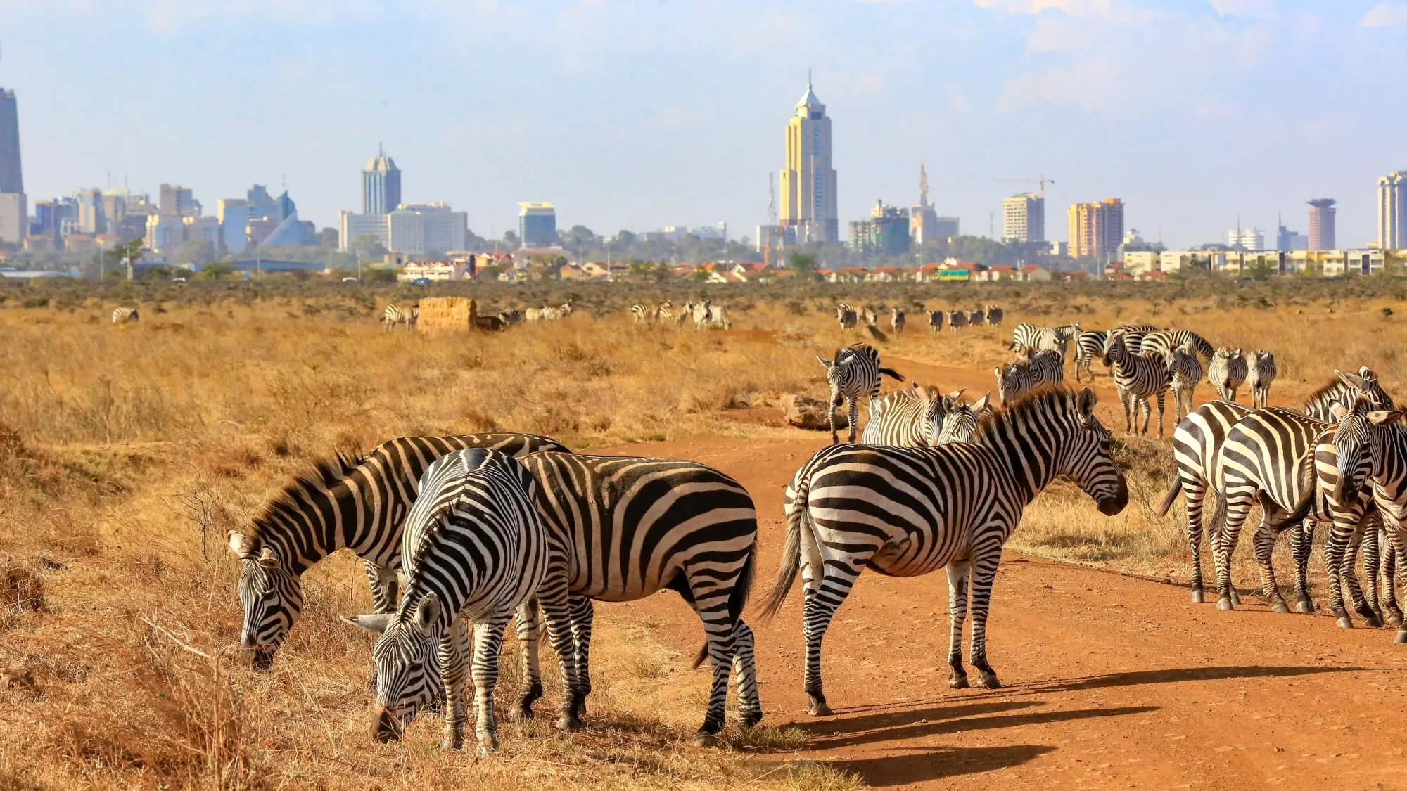 Safari in Kenya