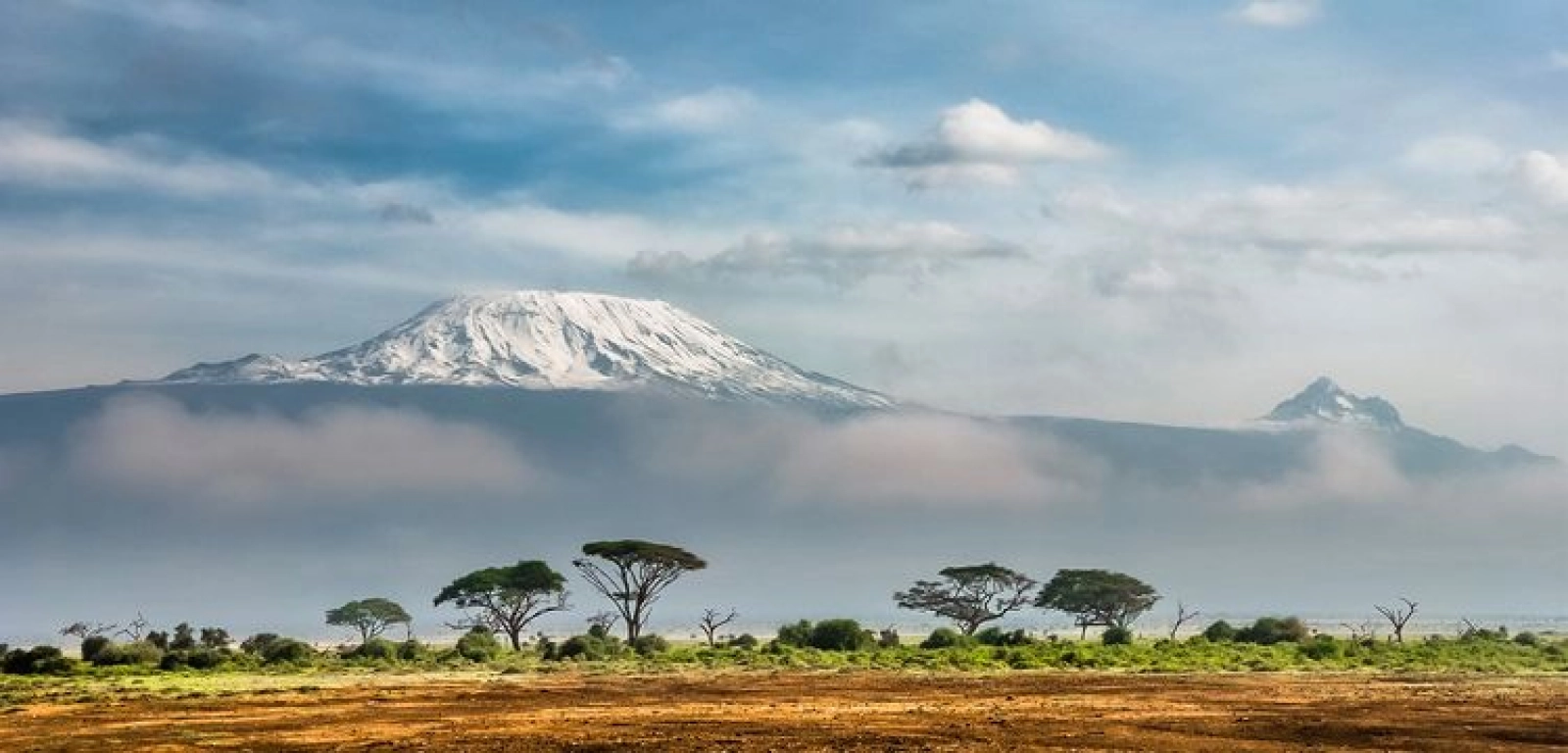 Safari in Kenya