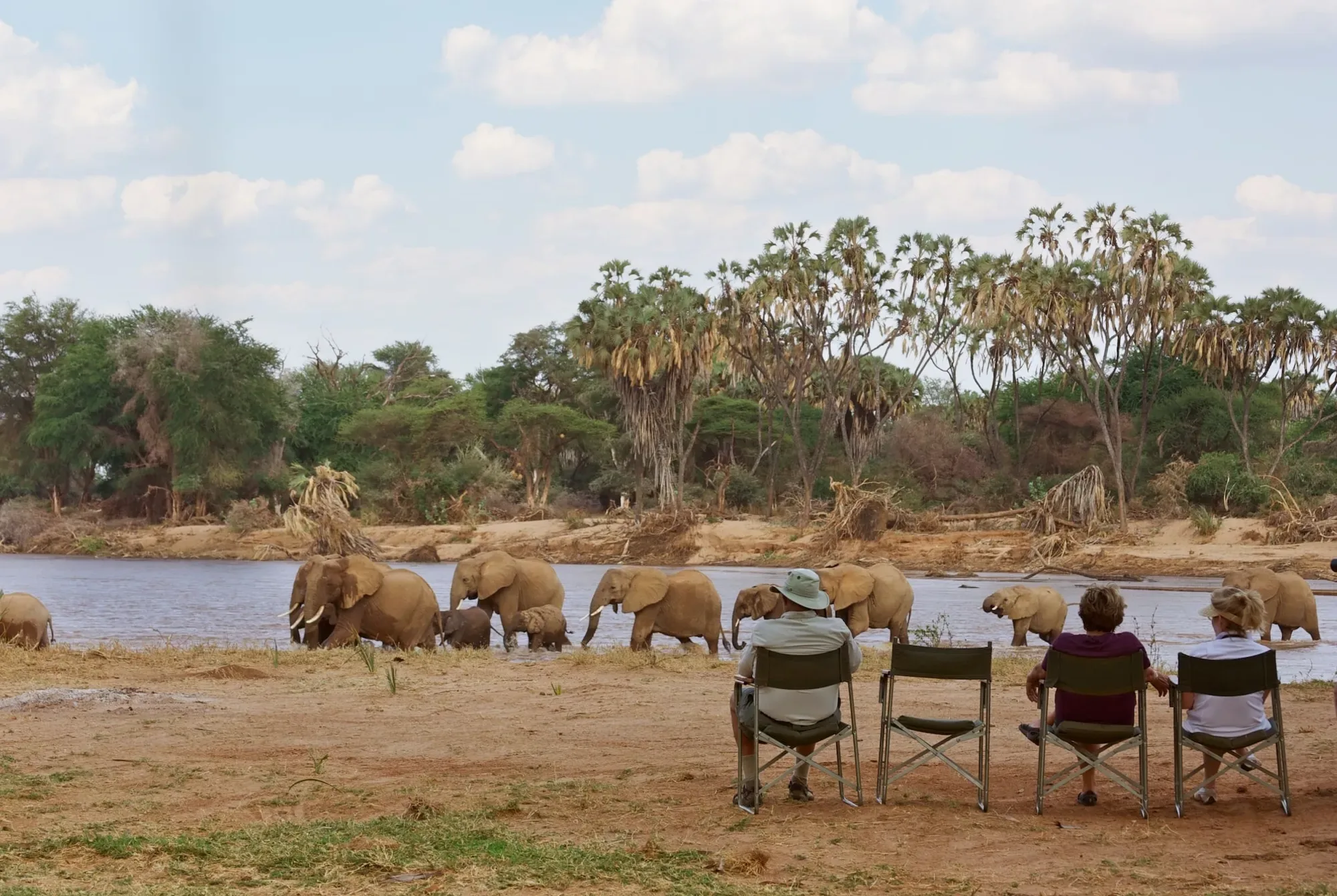 Safari in Masai Mara