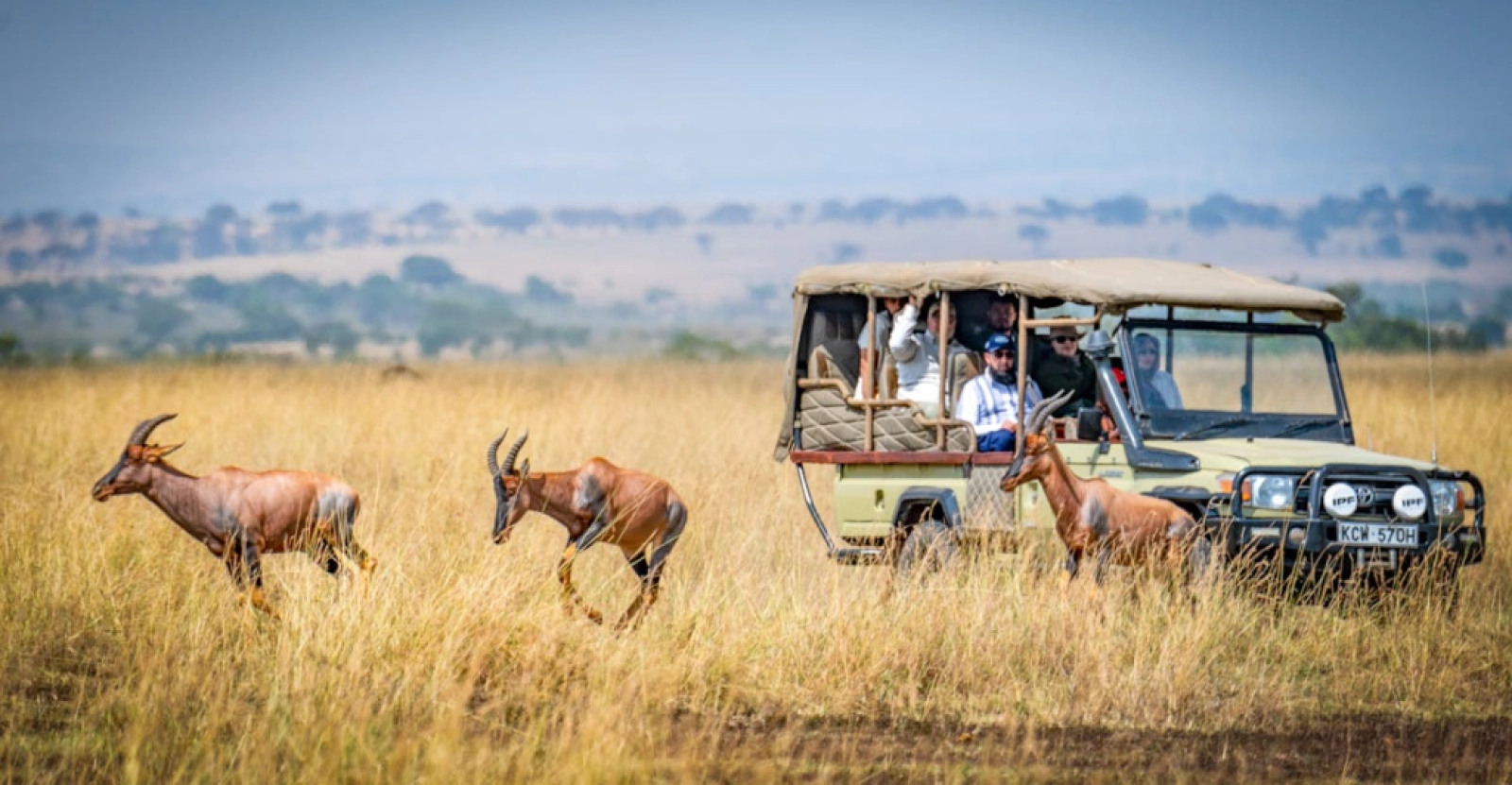 Safari in Masai Mara
