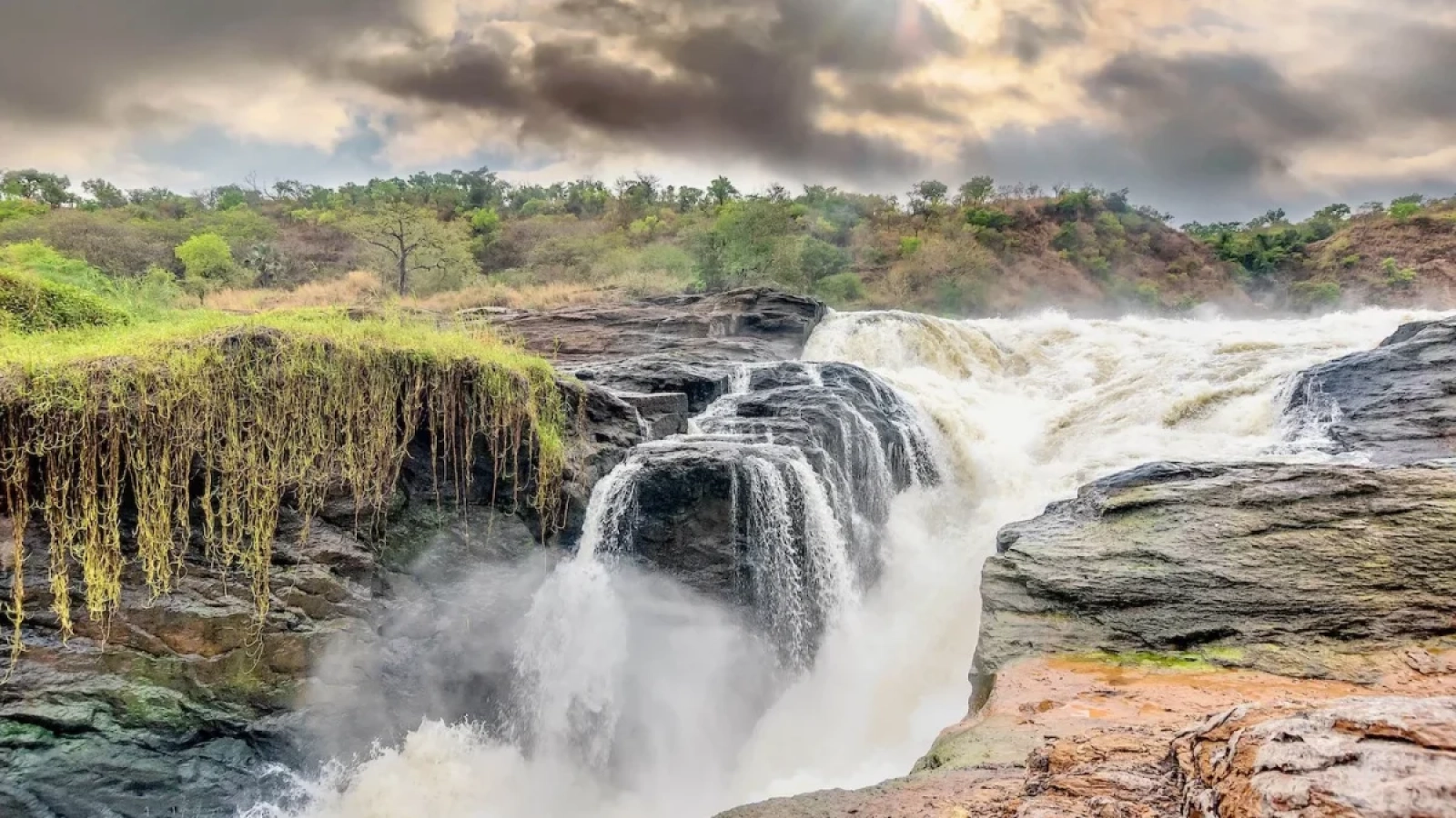 Safari in Murchison Falls