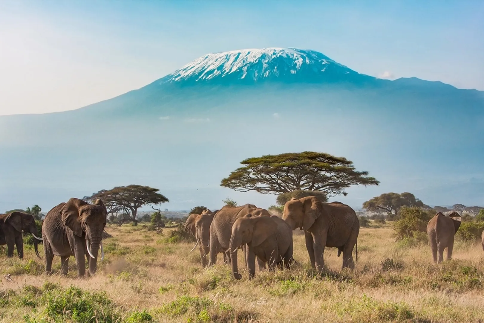 Safari in Ngorongoro