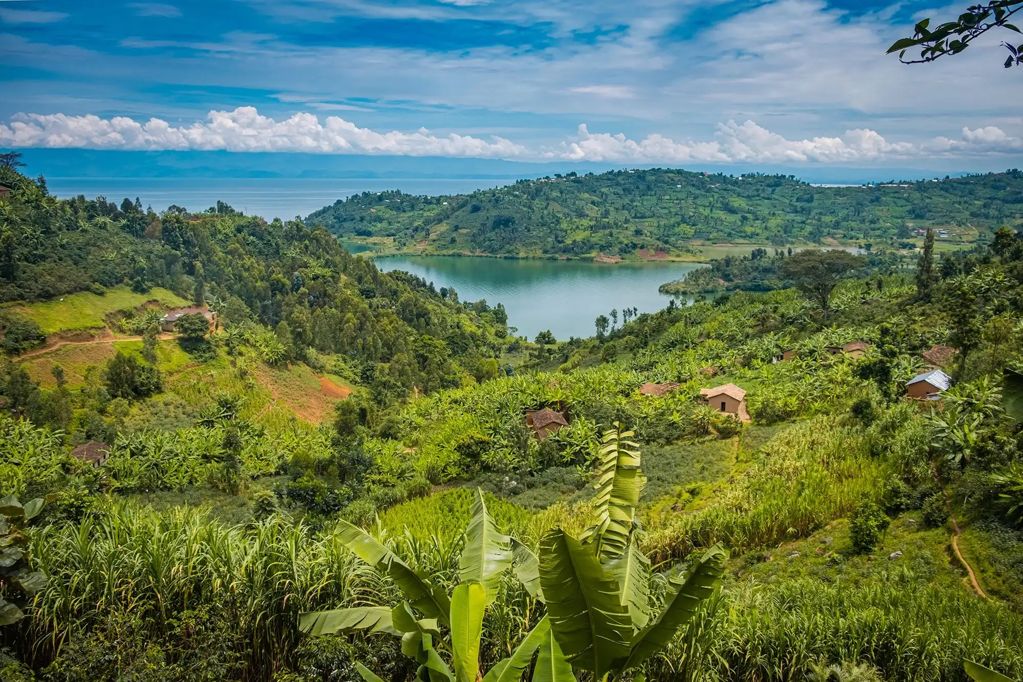 Safari in Rwanda