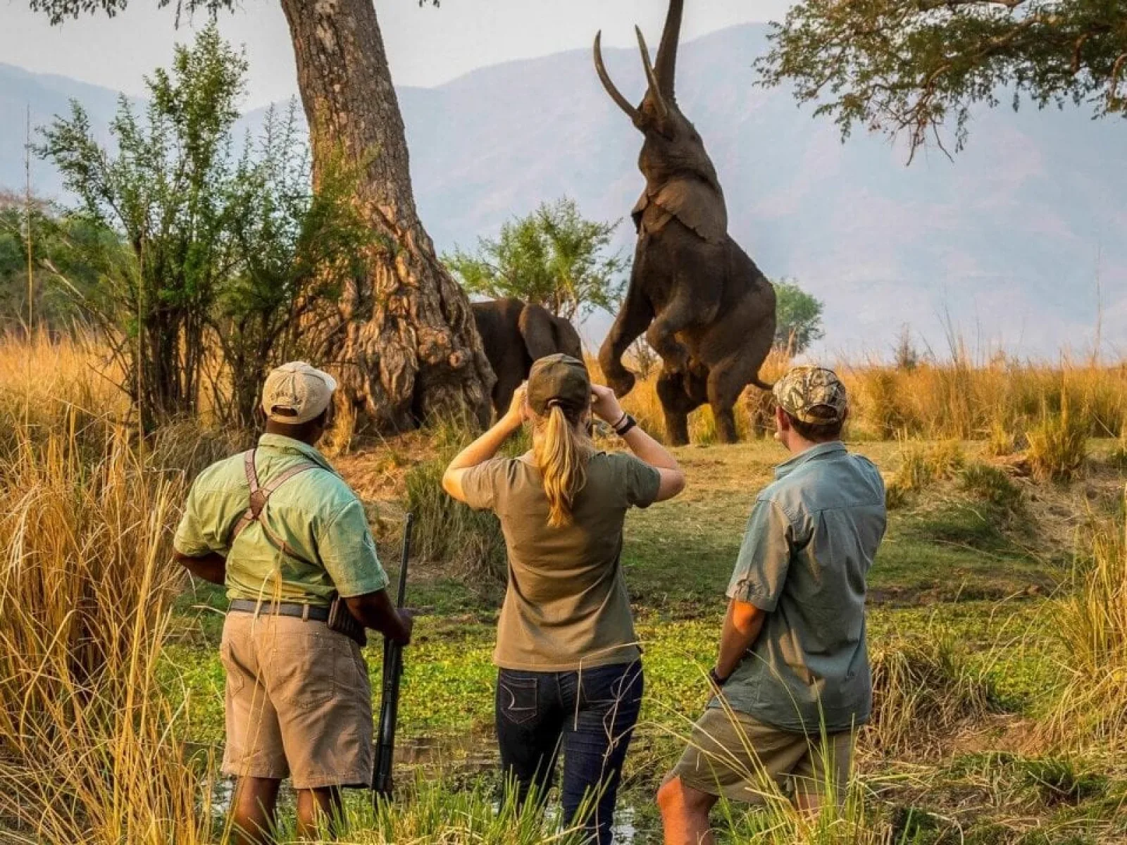 Safari in Rwanda