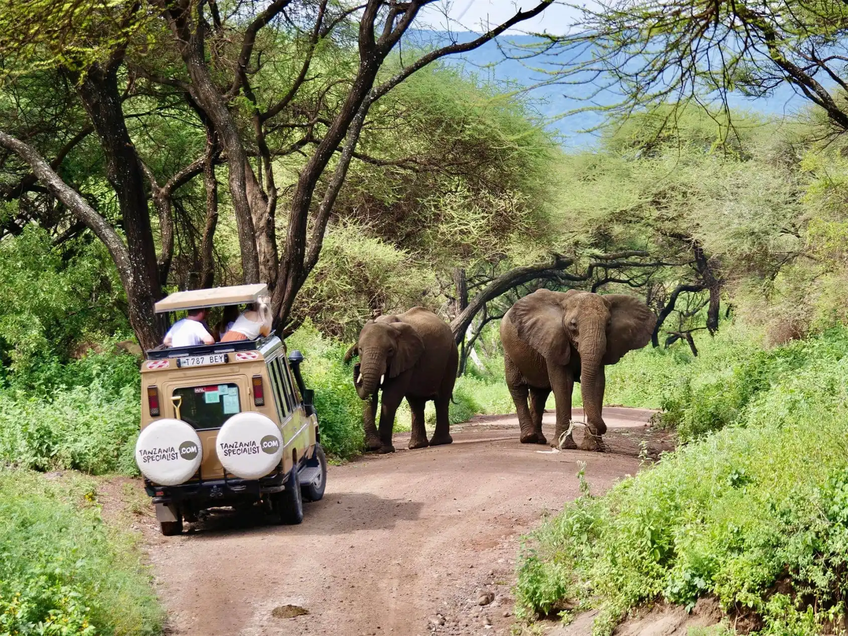 Safari in Serengeti