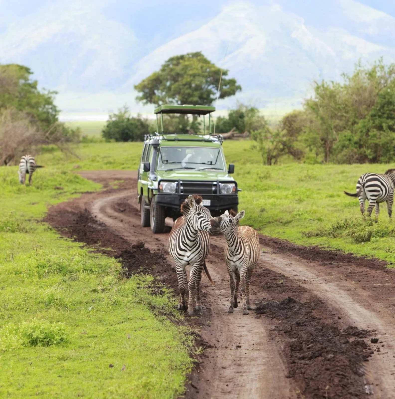 Safari in Serengeti