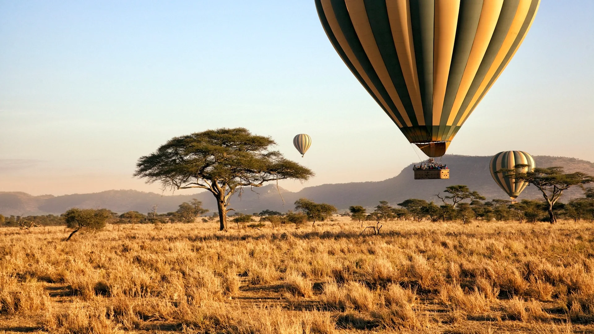 Safari in Tanzania