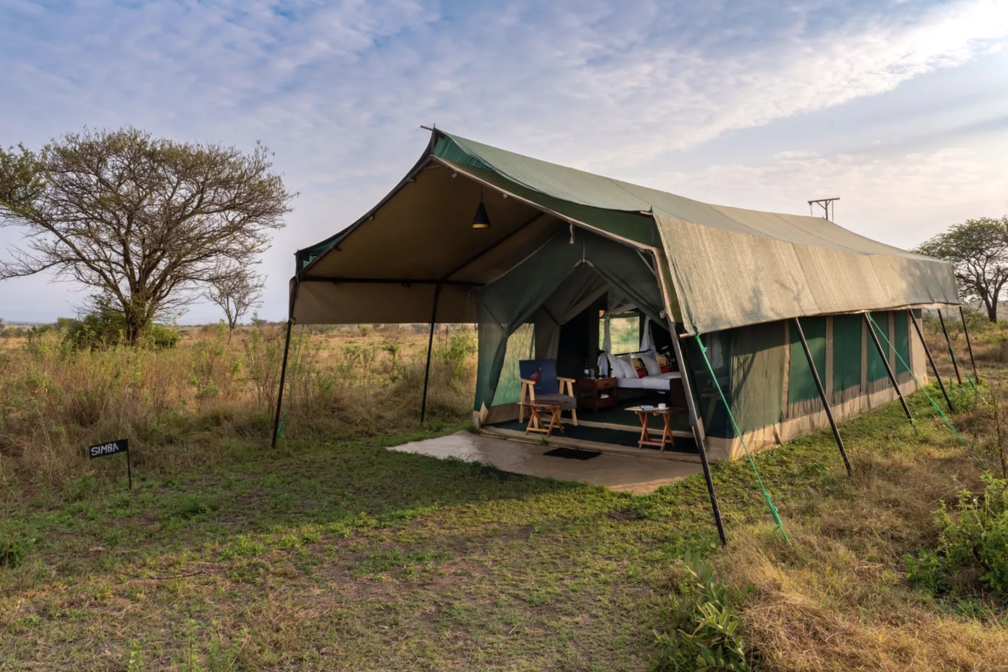 Safari in Tanzania