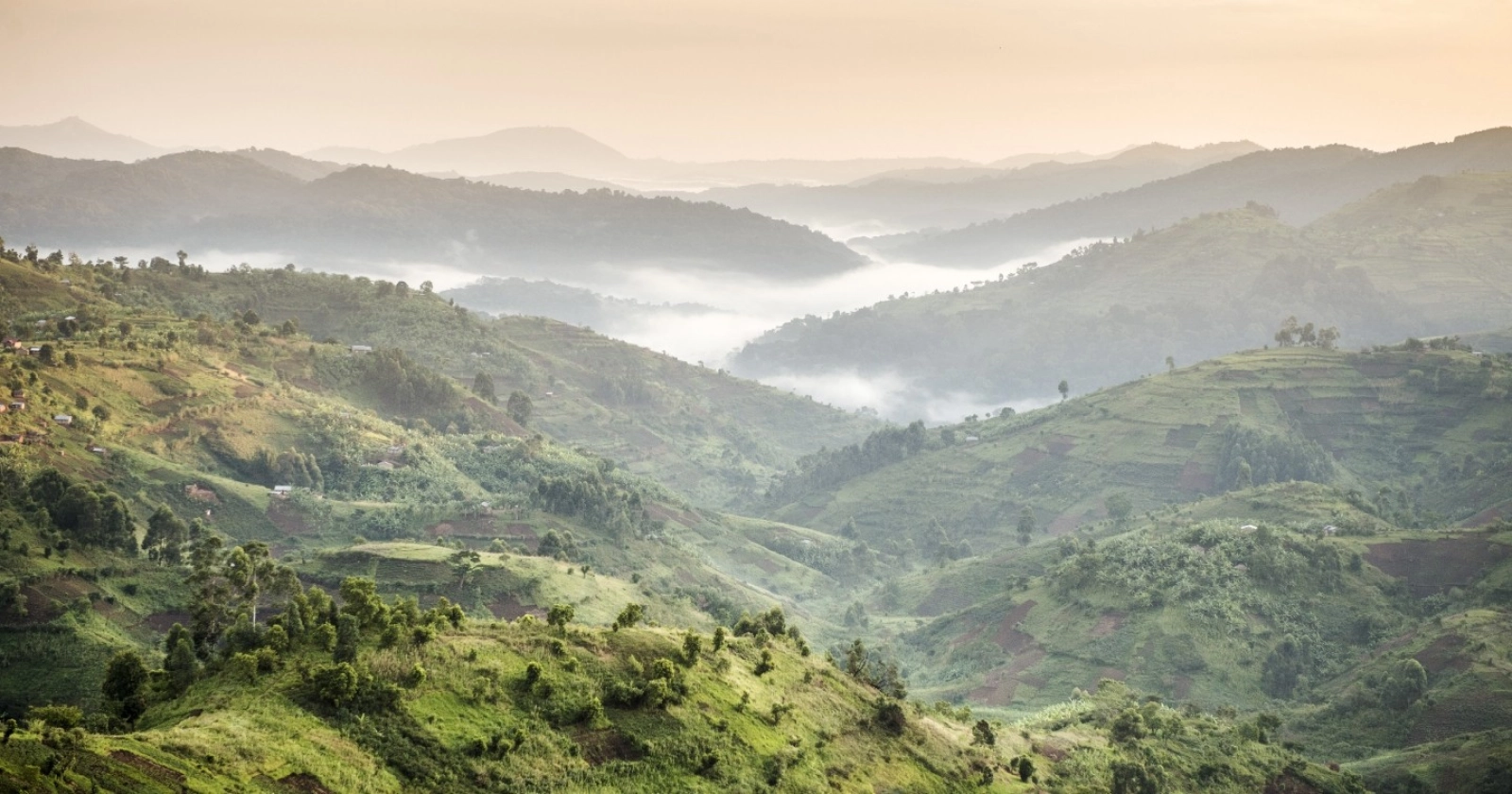 Safari in Uganda