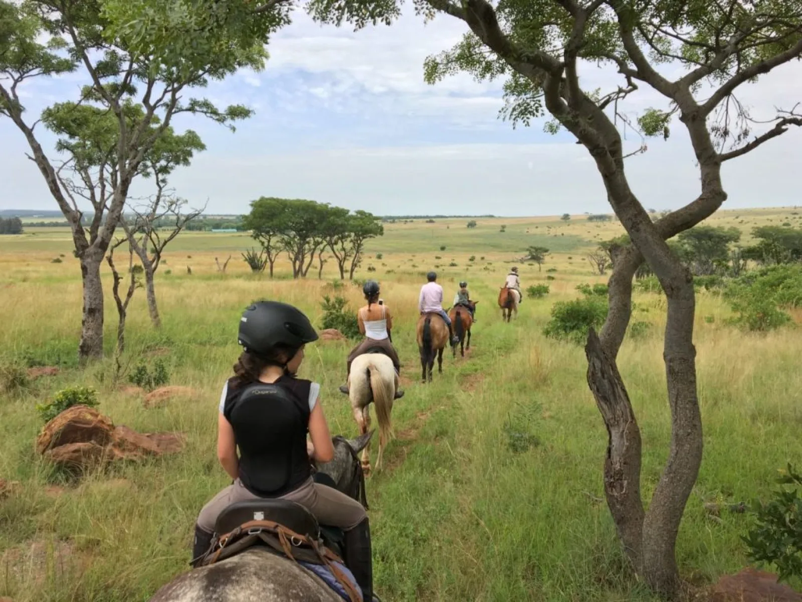 Safari in Uganda