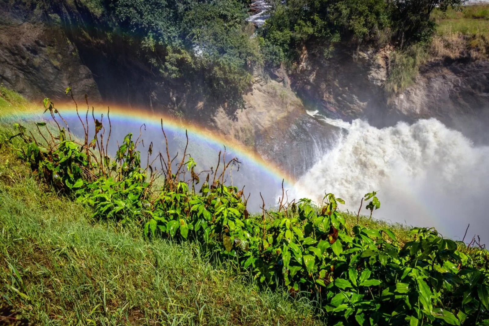 Safari in Uganda