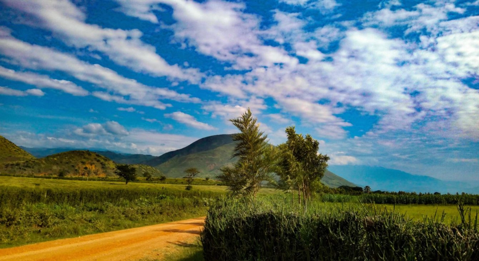 Safari in Uganda