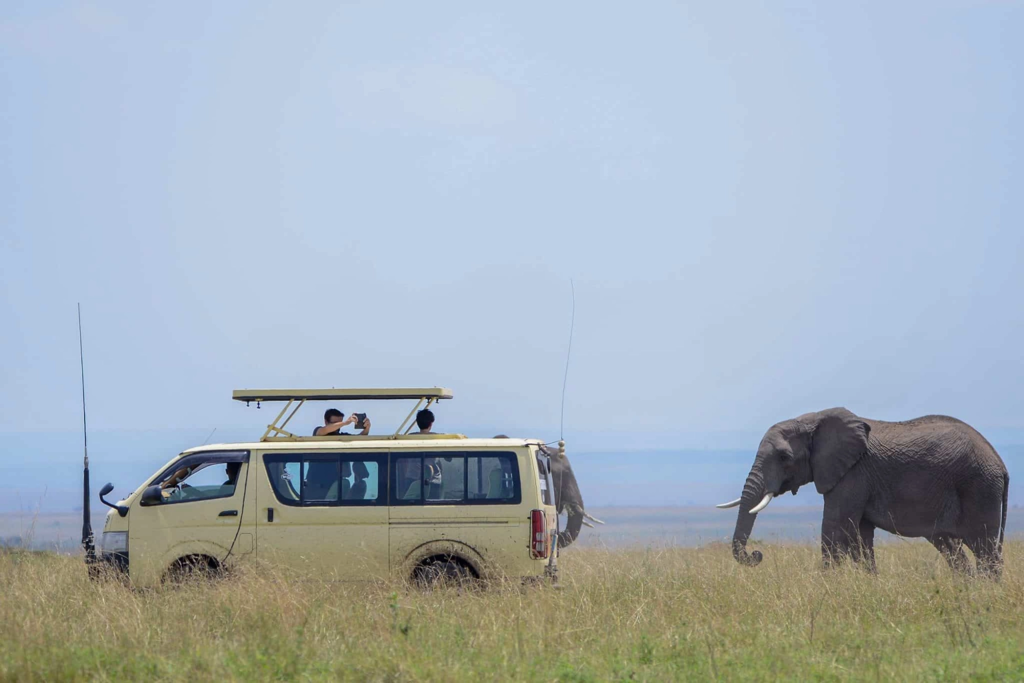 Safari in Uganda