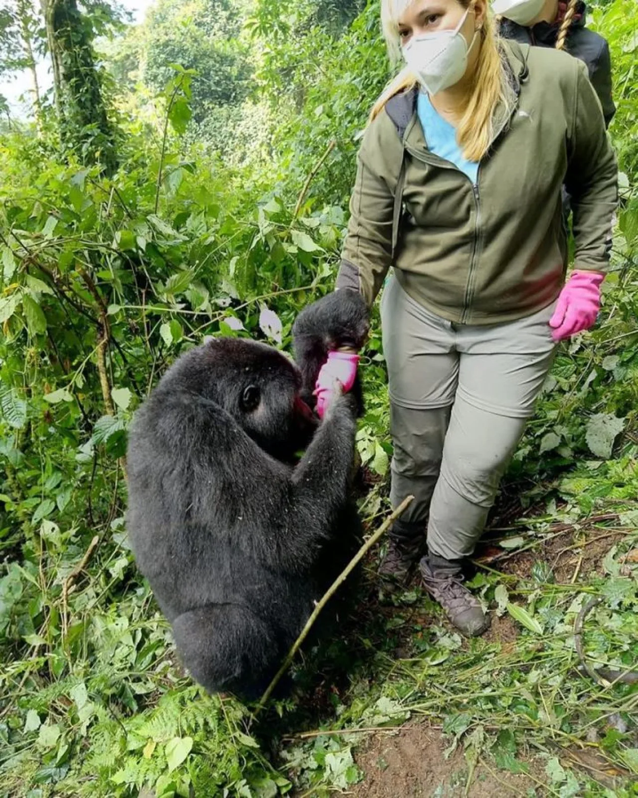 Safari in Uganda