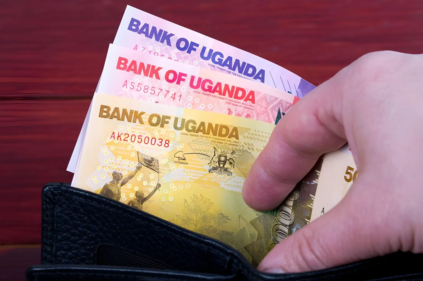Safari in Uganda