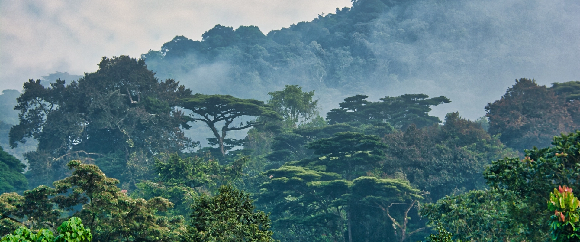 Safari in Uganda