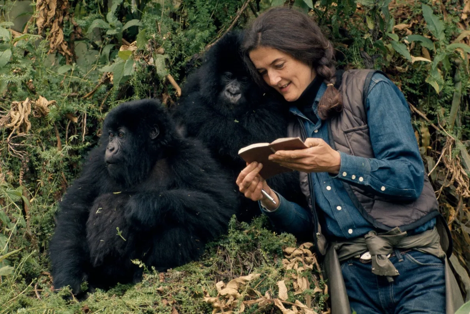Safari in Uganda