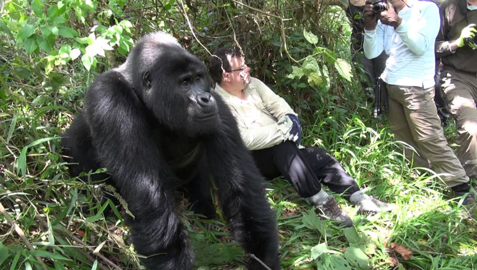 Safari in Uganda