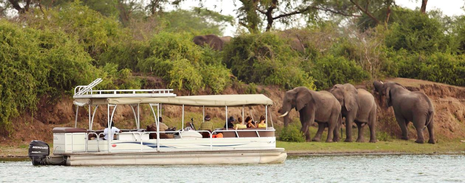 Safari in Uganda